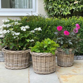Rattan Wicker Basket Planter / Plant Pot - Round Straight Edge  Low - Natural