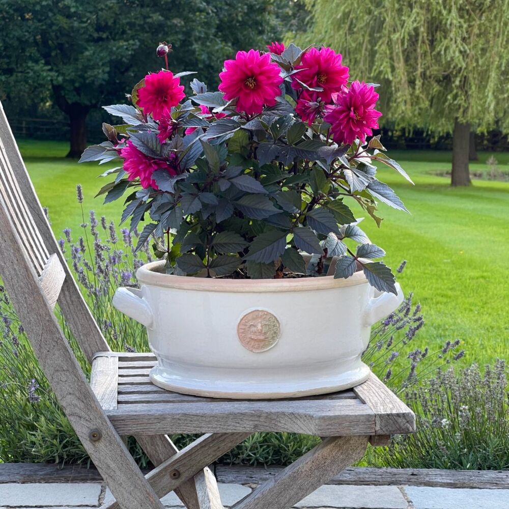 Kew Low Bowl with Handles Bone White - Royal Botanic Gardens Plant Pot - La
