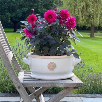 Kew Low Bowl with Handles Bone White - Royal Botanic Gardens Plant Pot - Large