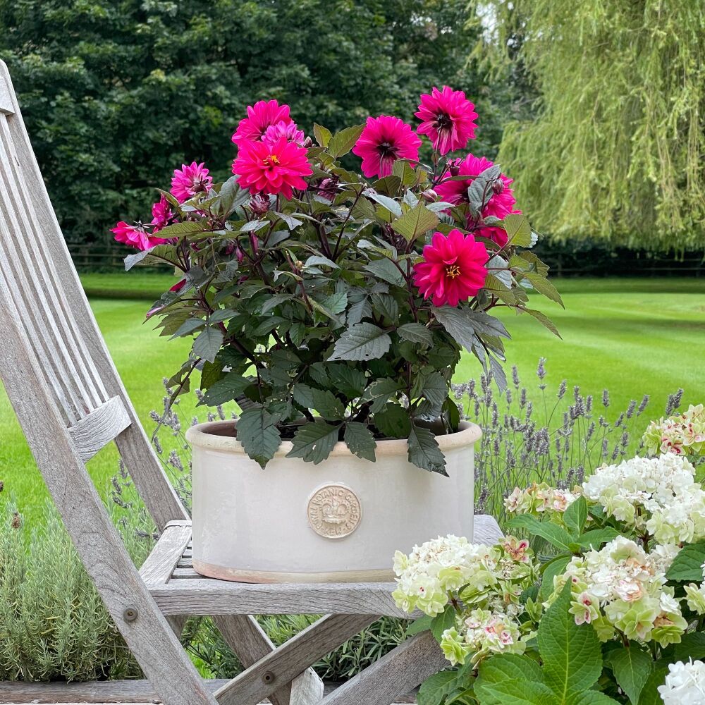 Kew Oval Planter Calamine Pink - Royal Botanic Gardens Plant Pot - Medium