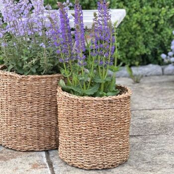 Seagrass Round Basket / Plant Pot - Medium