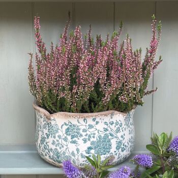 Botanical Floral Scallop Edge Ceramic Plant Pot Planter Sage Green & White - Medium