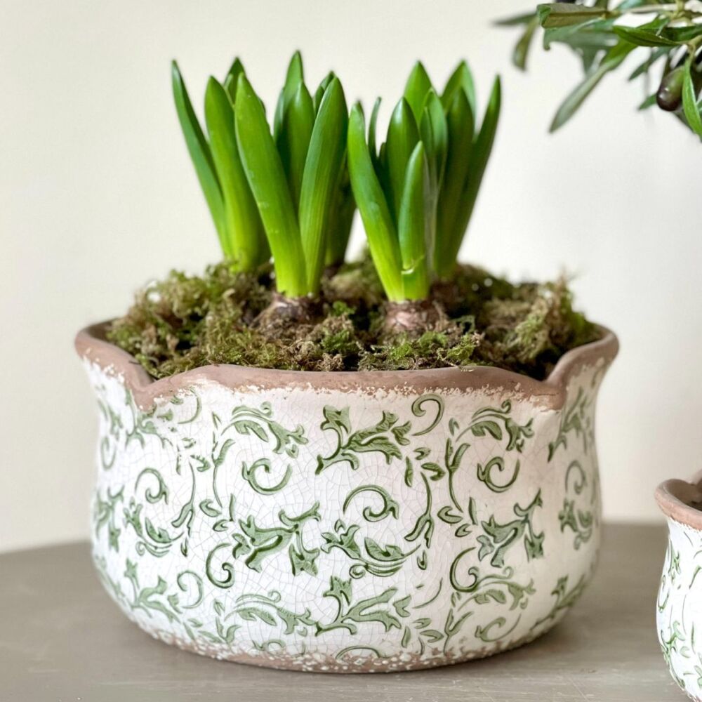 Botanical Scallop Edge Ceramic Plant Pot Planter Green & White - Large