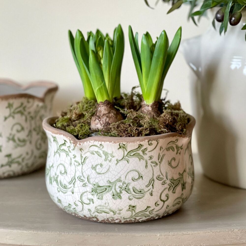 Botanical Scallop Edge Ceramic Plant Pot Planter Green & White - Medium