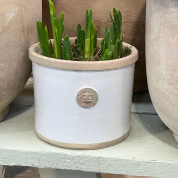 Kew Straight Edge Pot Bone - Royal Botanic Gardens Plant Pot - Large