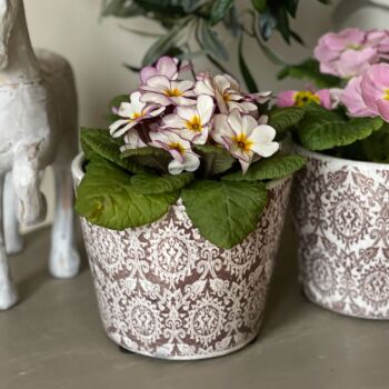 Old Dutch Style Plant Pot in Damask  - Vintage Brown & White