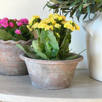 Antiqued Terracotta Style Low Bowl Plant Pot / Planter - 10 cm H