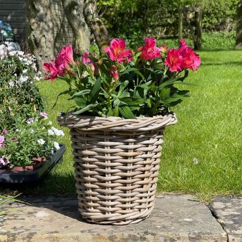 Rattan Wicker Basket Long Tom Plant Pot  - Natural - 26.5 cm H
