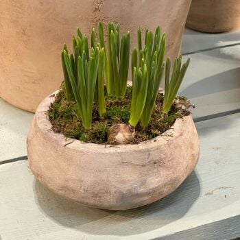 Vintage Style aged Terracotta Bibury Bowl Frostproof Planter  - Small