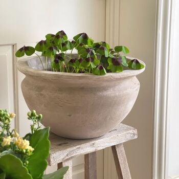 Vintage Style aged Terracotta Asthall Bowl Frostproof Planter  - Medium