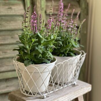Wire Basket Double Pot Holder - Vintage White - Pots included