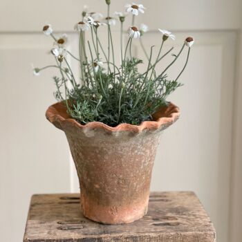 Antiqued Terracotta Redstone Pie Crust Plant Pot / Planter - 18 cm H