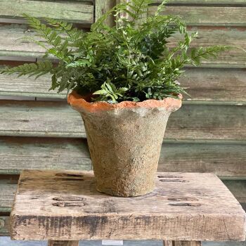Antiqued Terracotta Redstone Pie Crust Plant Pot / Planter - 13 cm H