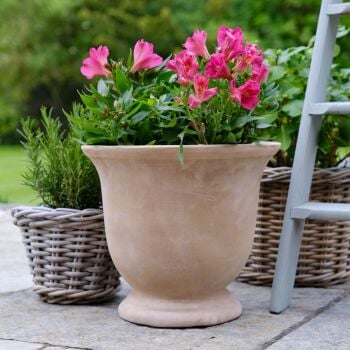 Vintage Style aged Tetbury Terracotta Frostproof Urn Planter - Large