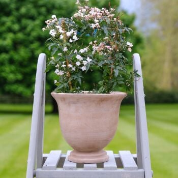 Vintage Style aged Tetbury Terracotta Frostproof Urn Planter - Medium