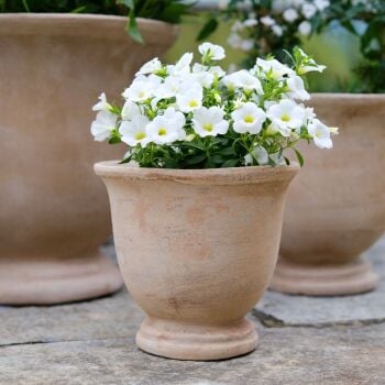 Vintage Style aged Tetbury Terracotta Frostproof Urn Planter - Small