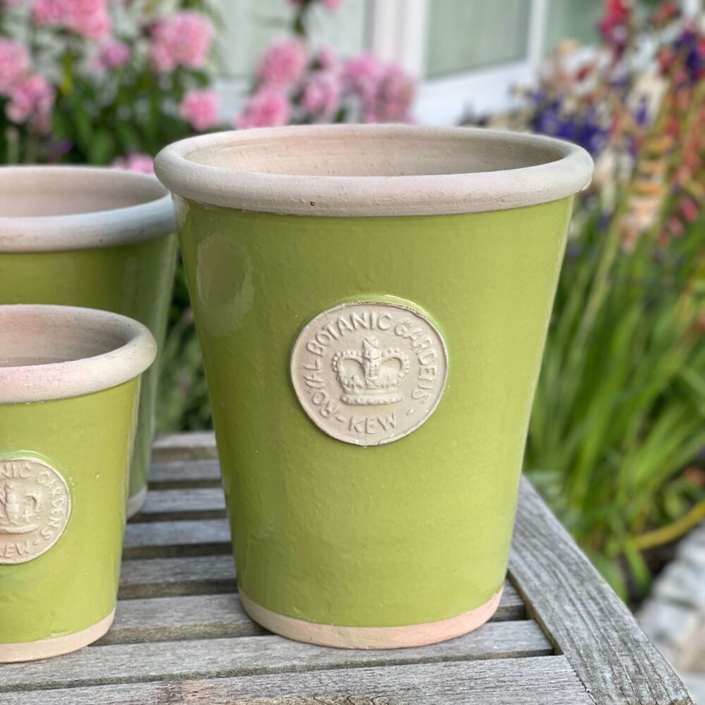 Kew Long Tom Pot in Lime Green - Royal Botanic Gardens Plant Pot - Large