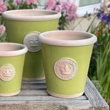 Kew Long Tom Pot in Lime Green - Royal Botanic Gardens Plant Pot - Medium