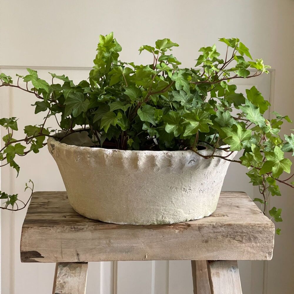 Antiqued Terracotta Whitestone Pie Crust Bowl Planter / Plant Pot - Large