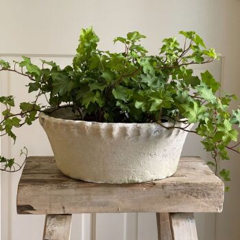 Antiqued Terracotta Whitestone Pie Crust Bowl Planter / Plant Pot - Large