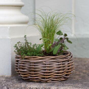 Rattan Wicker Low Basket Bowl Planter / Plant Pot Natural - Large