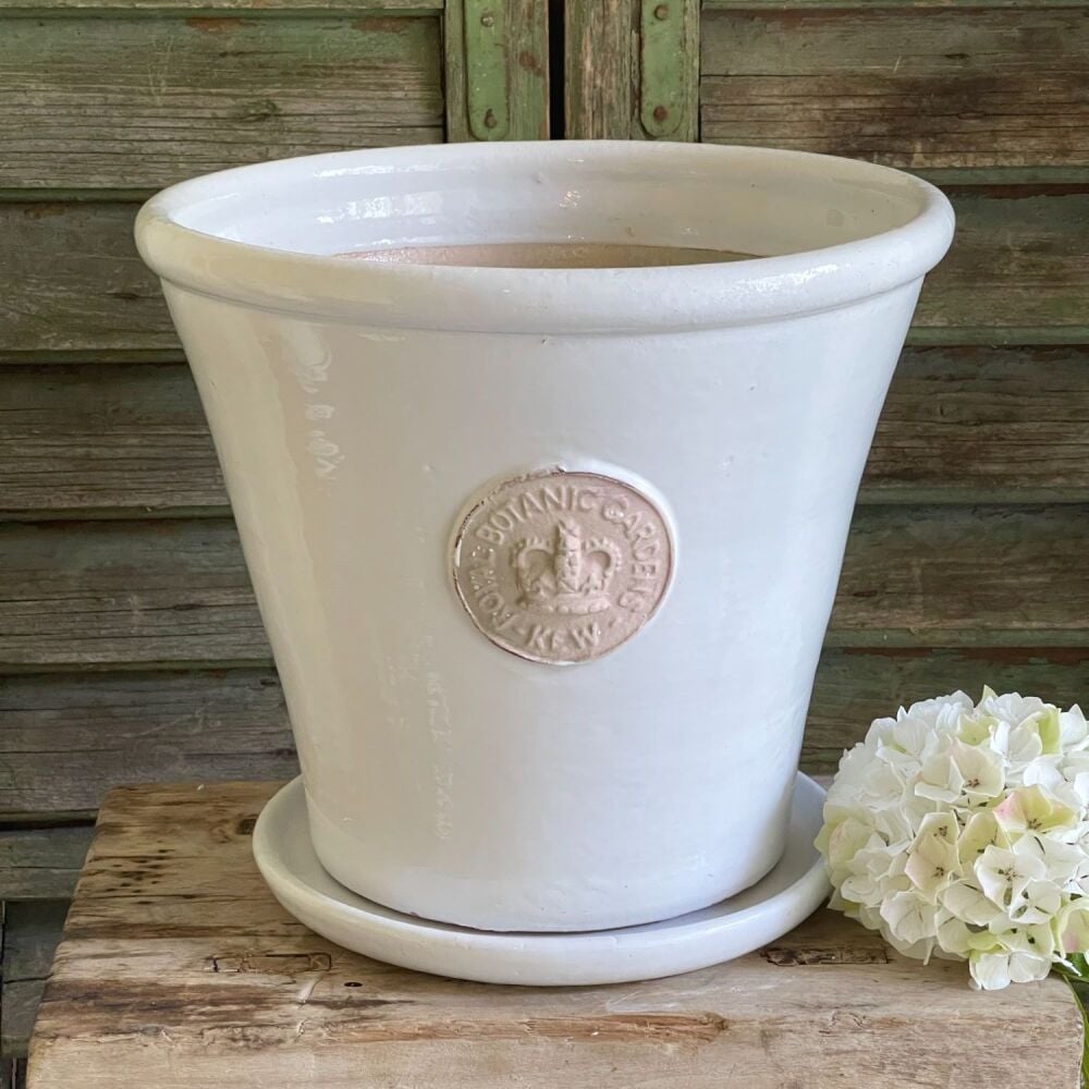 Kew Tapered Chelsea Pot in Bone - Royal Botanic Gardens Plant Pot - Large