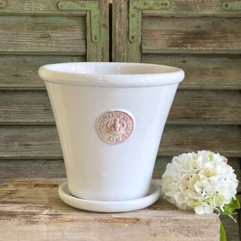 Kew Tapered Chelsea Pot in Bone - Royal Botanic Gardens Plant Pot - Medium