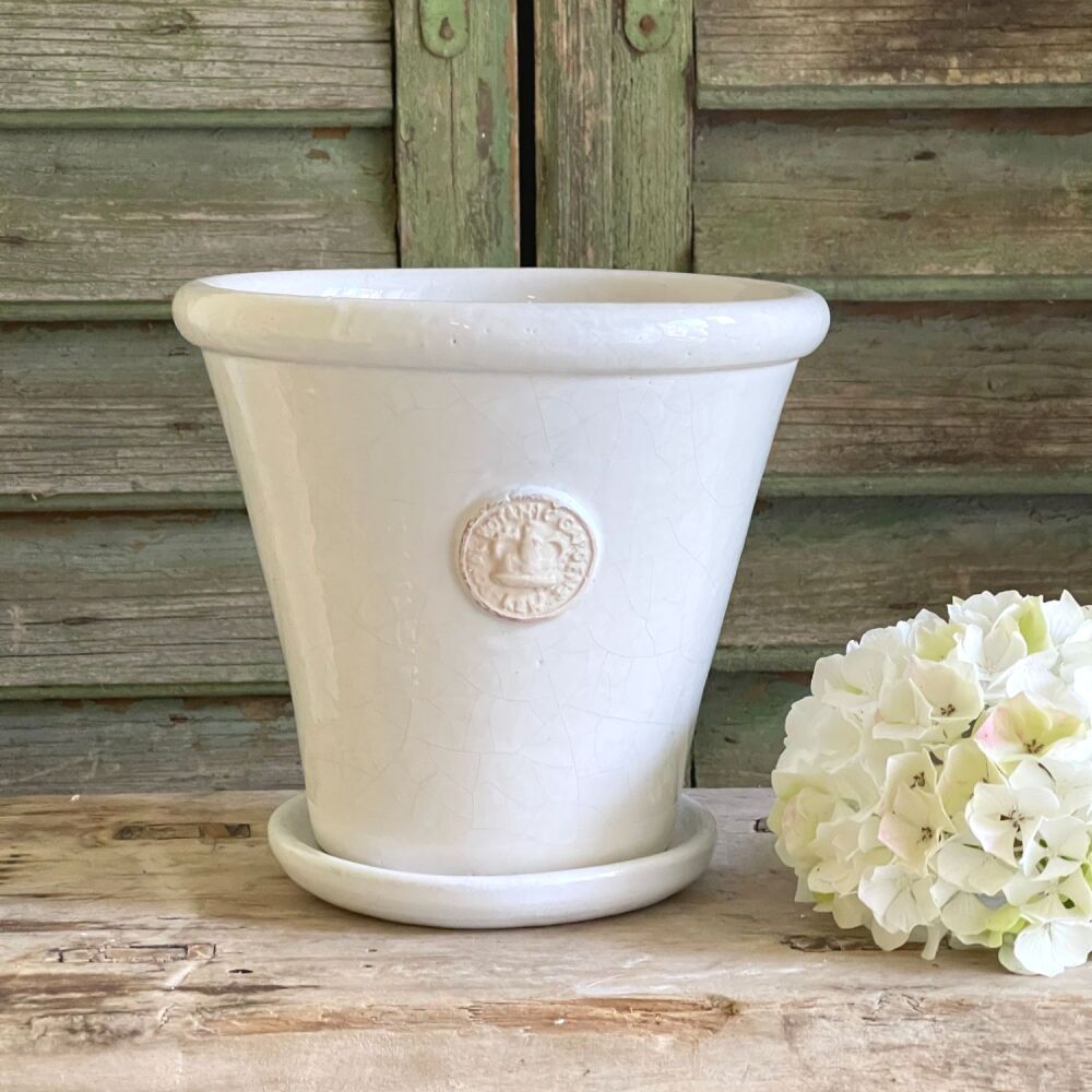 Kew Tapered Chelsea Pot in Bone - Royal Botanic Gardens Plant Pot - Small