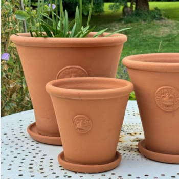 Kew Tapered Chelsea Pot in Natural Terracotta - Royal Botanic Gardens Plant Pot - Large