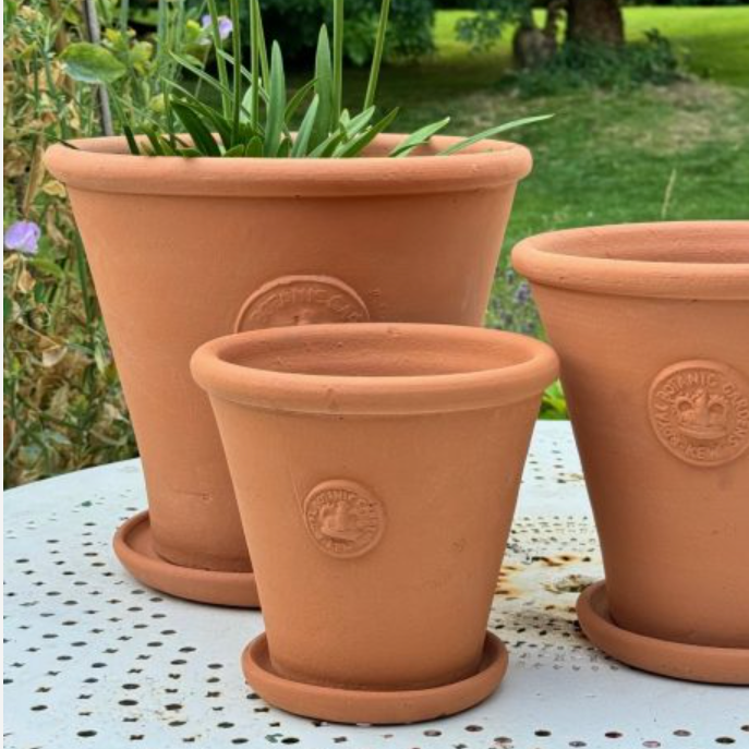 Kew Tapered Chelsea Pot in Natural Terracotta - Royal Botanic Gardens Plant