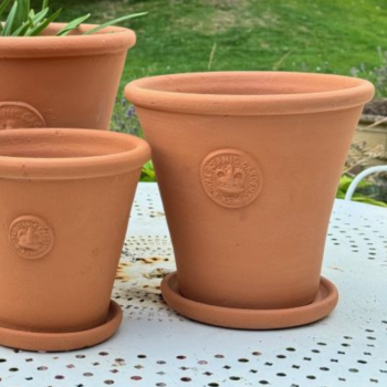 Kew Tapered Chelsea Pot in Natural Terracotta  - Royal Botanic Gardens Plant Pot - Medium