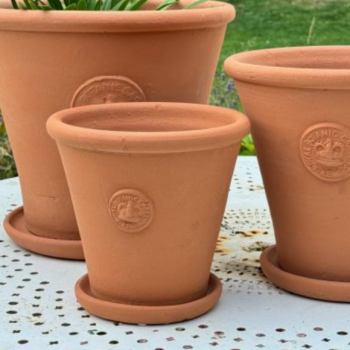 Kew Tapered Chelsea Pot in Natural Terracotta - Royal Botanic Gardens Plant Pot - Small