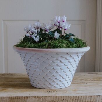 Oval Tapered Neptune Planter Bone White - Plant Pot - Small