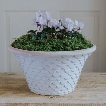 Oval Tapered Neptune Planter Bone White - Plant Pot - Medium