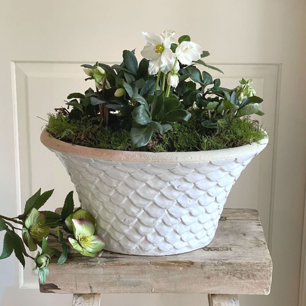 Oval Tapered Neptune Planter Bone White - Plant Pot - Large