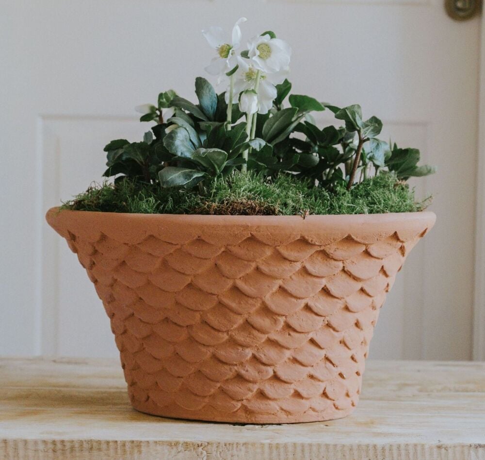 Oval Tapered Neptune Planter Natural Terracotta - Plant Pot - Large