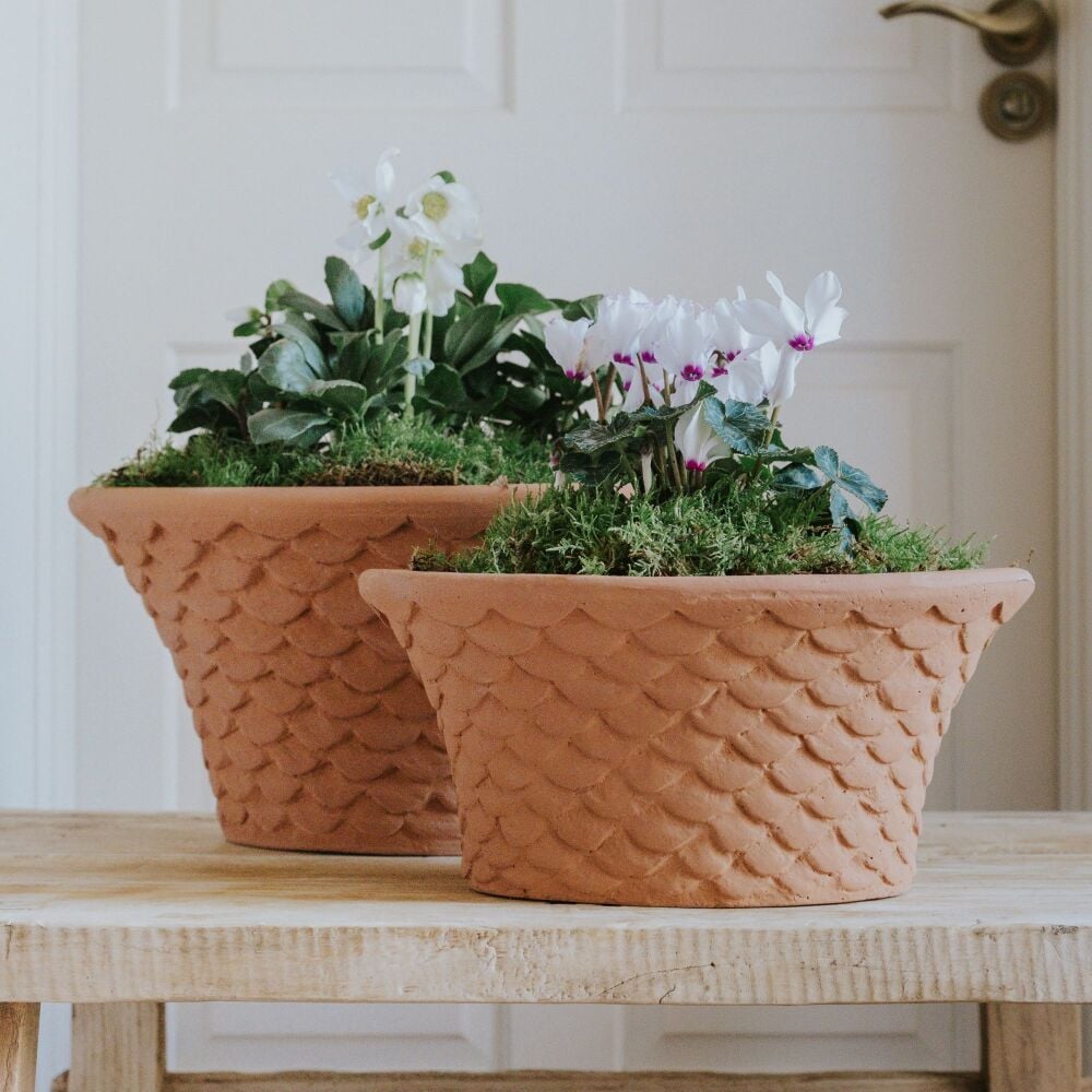 Oval Tapered Neptune Planter Natural Terracotta - Plant Pot - Medium