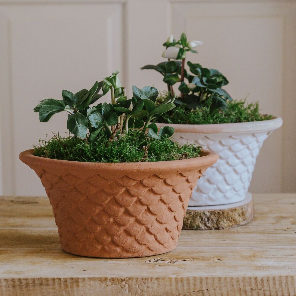 Oval Tapered Neptune Planter Natural Terracotta - Plant Pot - Small