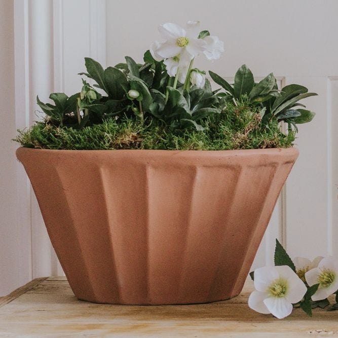 Oval Tapered Carved Planter Natural Terracotta - Plant Pot - Large