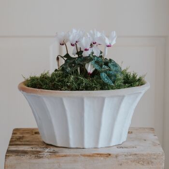 Oval Tapered Carved Planter Bone White - Plant Pot - Medium