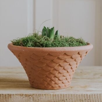 Round Tapered Neptune Planter Natural Terracotta - Plant Pot - Medium