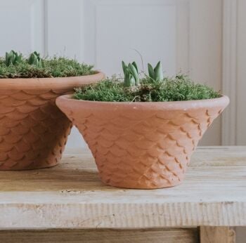 Round Tapered Neptune Planter Natural Terracotta - Plant Pot - Small