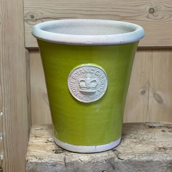 Kew Long Tom Pot in Orchard Green - Royal Botanic Gardens Plant Pot - Large