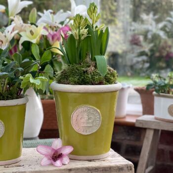 Kew Long Tom Pot in Orchard Green - Royal Botanic Gardens Plant Pot - Medium