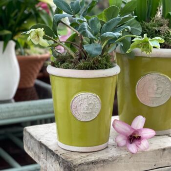 Kew Long Tom Pot in Orchard Green - Royal Botanic Gardens Plant Pot - Small