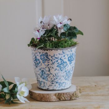 Blue & White Rustic Ceramic Plant Pot / Cachepot - 15 cm H