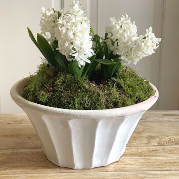 Round Tapered Carved Planter Bone White - Plant Pot - Medium