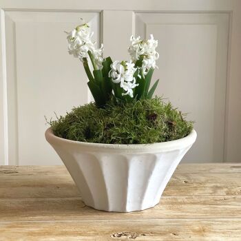 Round Tapered Carved Planter Bone White - Plant Pot - Small