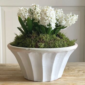 Round Tapered Carved Planter Bone White - Plant Pot - Large