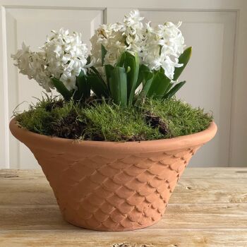 Round Tapered Neptune Planter Natural Terracotta - Plant Pot - Large